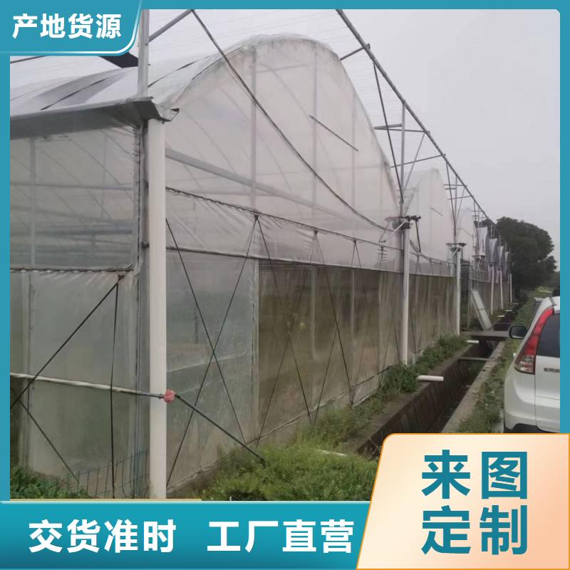 乐业县GP825葡萄避雨大棚直销价格