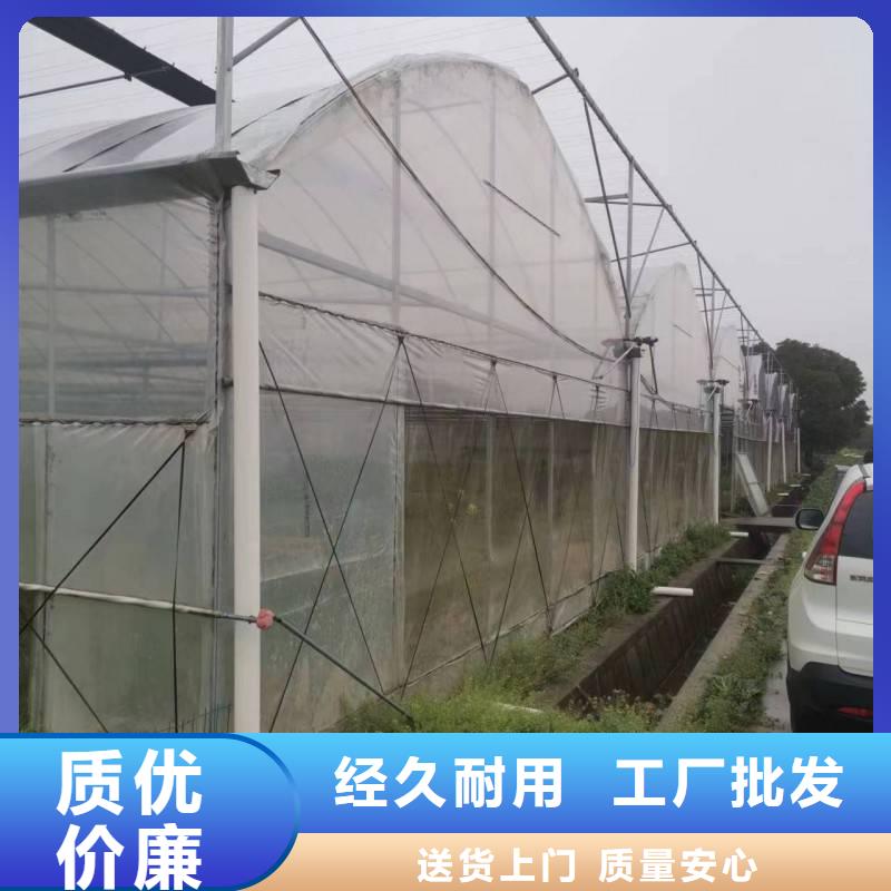蓬江区草莓大棚的跨度几米正规厂家