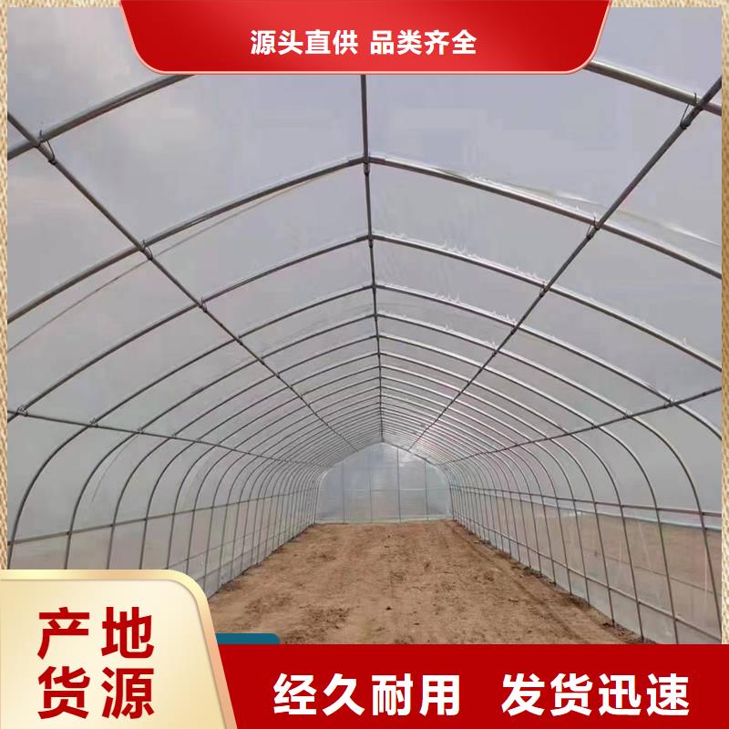 江汉区GP825单体蔬菜大棚厂家价格