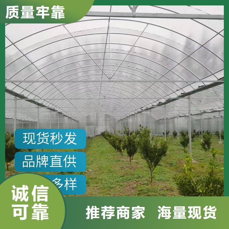 县连栋大棚15丝薄膜价格正规厂家