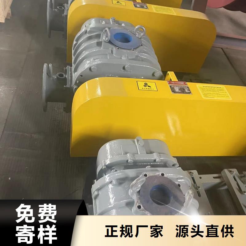 山东临风科技股份洗煤专用罗茨风机LFSR250