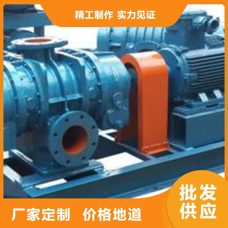 临风科技股份有限公司洗煤专用罗茨风机LFSR150