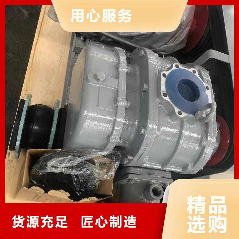 每日两叶罗茨风机LFSR65