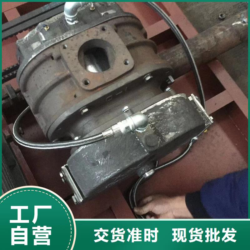 2025三叶罗茨鼓风机LFSR150
