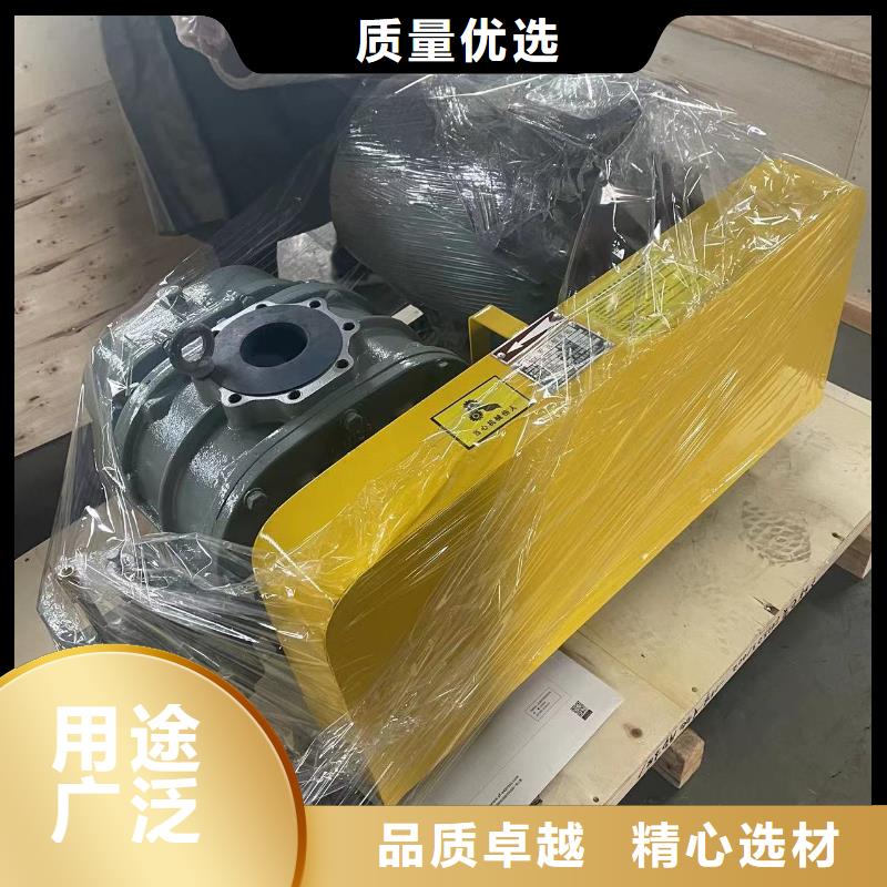 山东临风科技股份有限公司罗茨鼓风机LFSR300