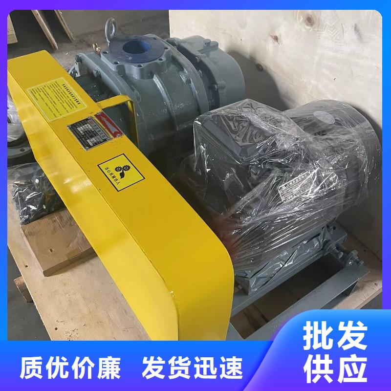 2025三叶罗茨鼓风机LFSR300