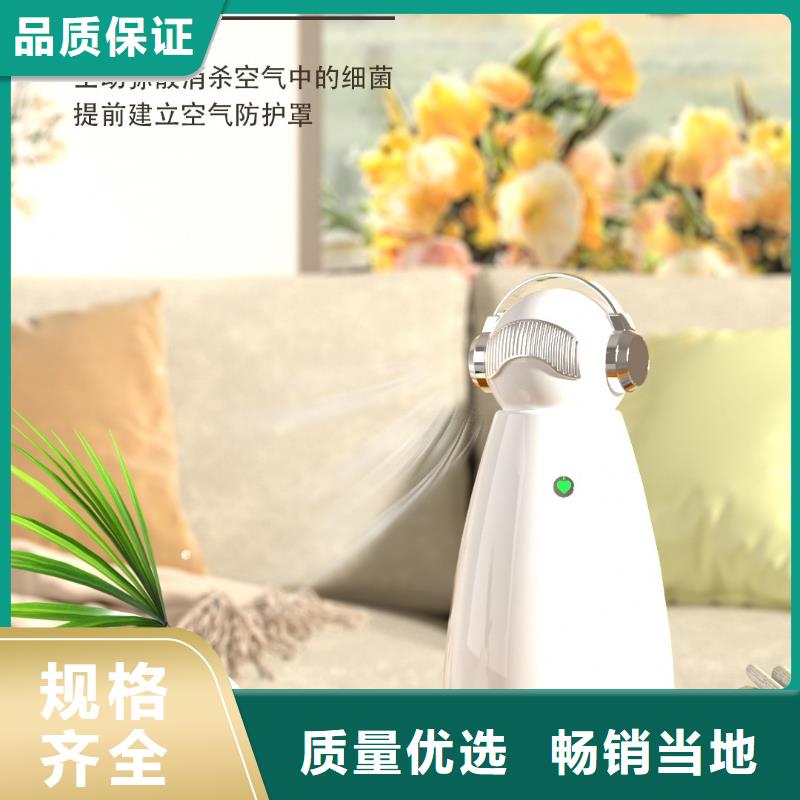 【深圳】家庭呼吸健康，从小白开始怎么加盟小白空气守护机