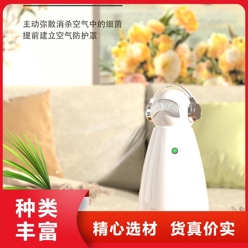 【深圳】家用空气氧吧定制厂家小白空气守护机