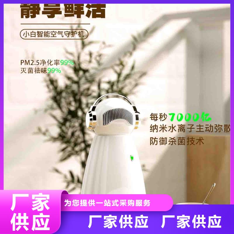 小白孕妇空气守护机销售智能空气净化器严谨工艺