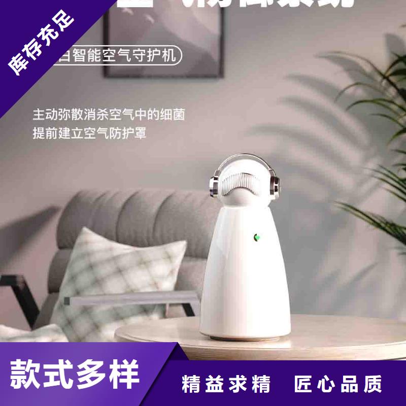 小白空气守护机_车载空气净化器销售热线厂家货源稳定