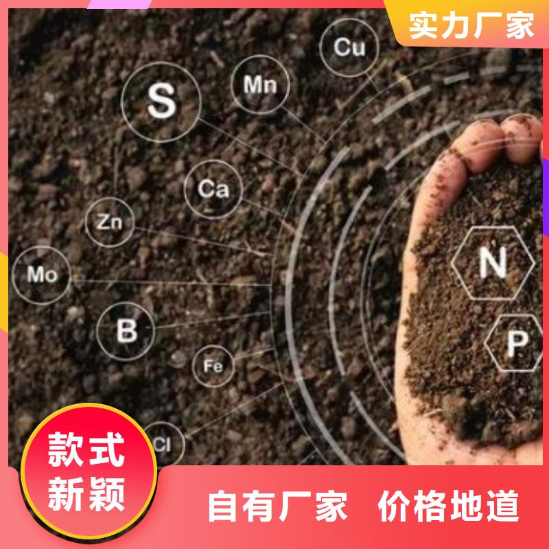 阳谷东阿聊城纯鸡粪质量杠杠的