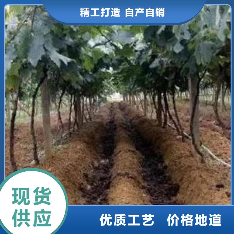青岛烟台威海发酵羊粪增加作物根系