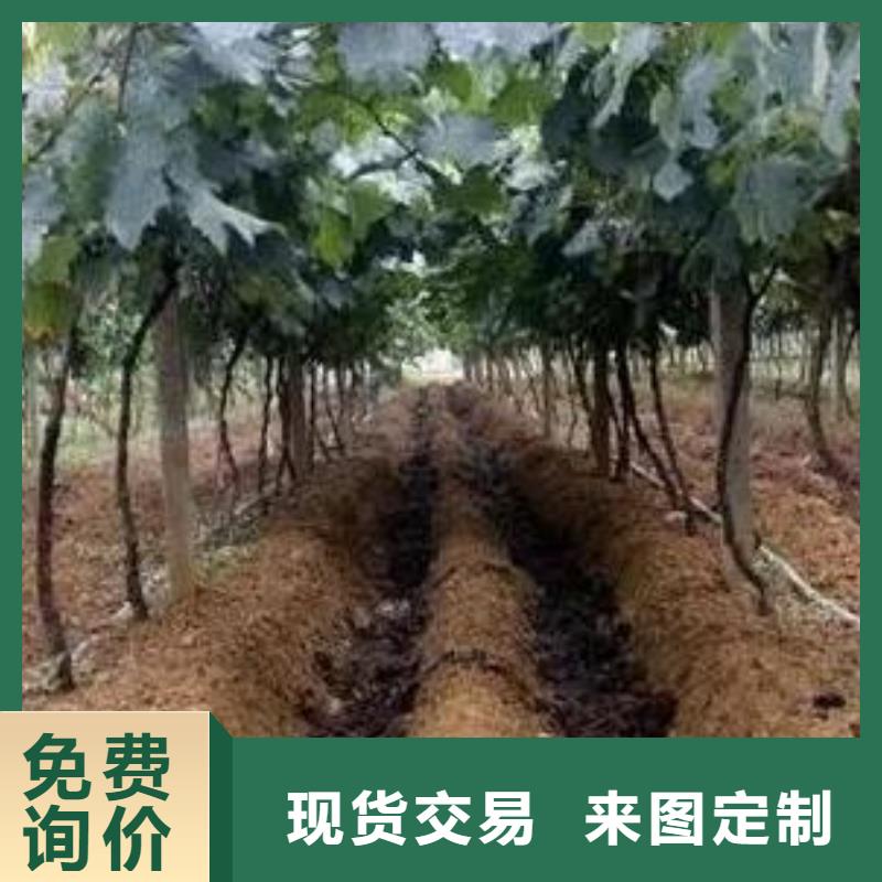 濮阳滑县长垣羊粪有机肥肥沃庄稼地土壤