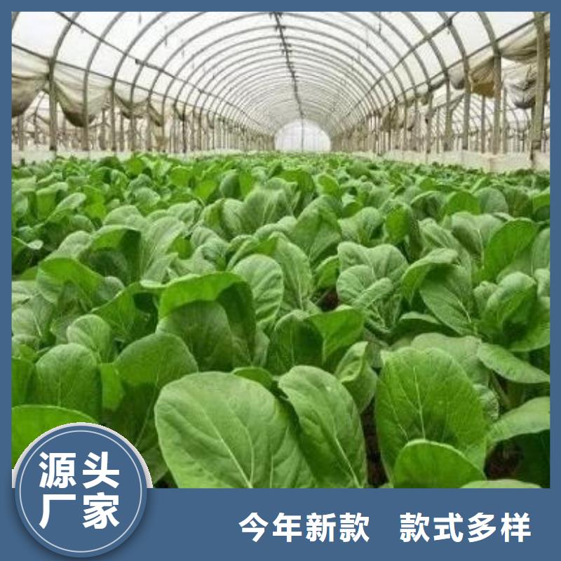 盘锦锦州葫芦岛发酵羊粪促进农田肥沃