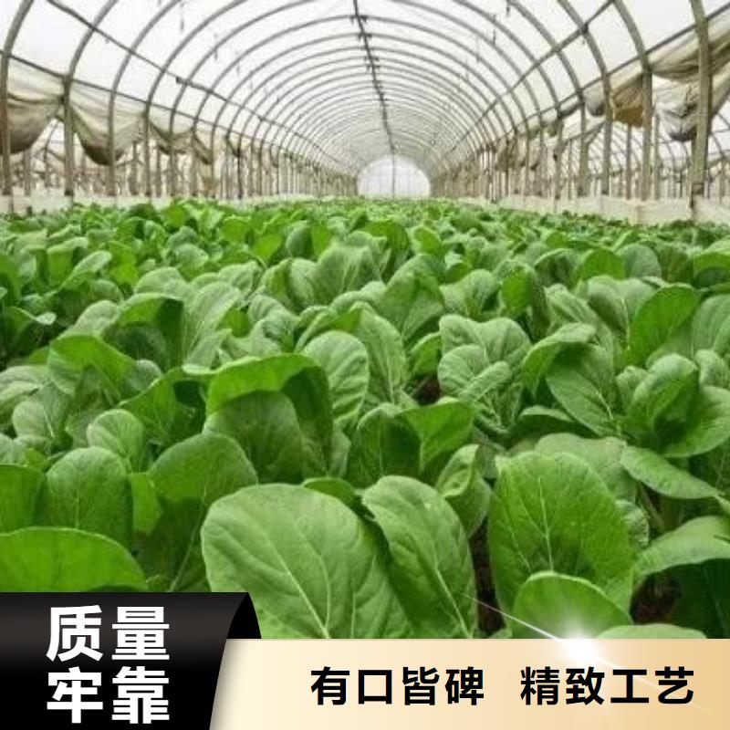 渭南西安大荔干鸡粪肥沃土壤