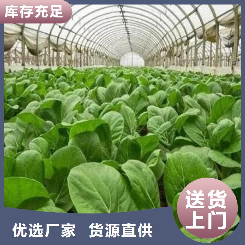 太原枣庄北京有机肥提升水果口感