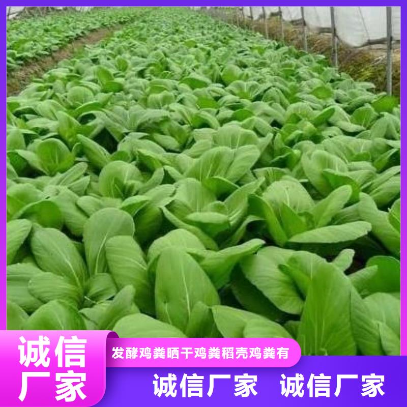盘锦锦州葫芦岛发酵羊粪促进农田肥沃