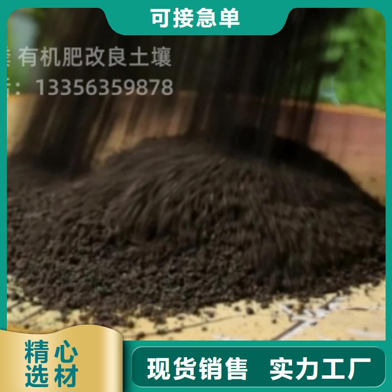 肥水鸡粪无杂质