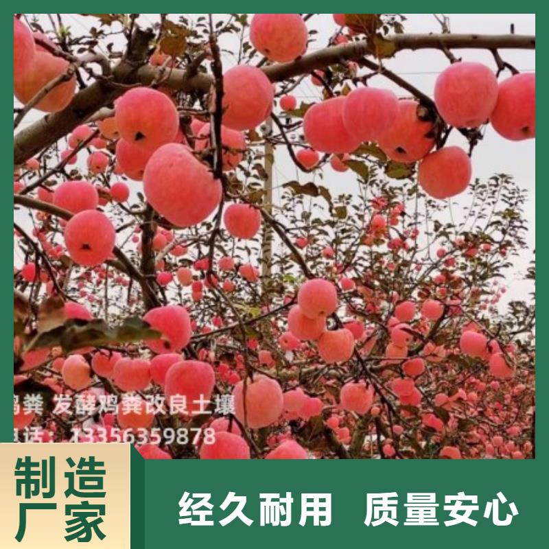 干鸡粪肥沃农田