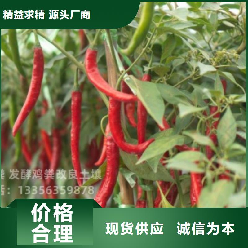 特别行政区干鸡粪块出苗率高