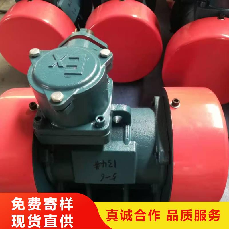 【振动平台防爆振动电机优选厂家】