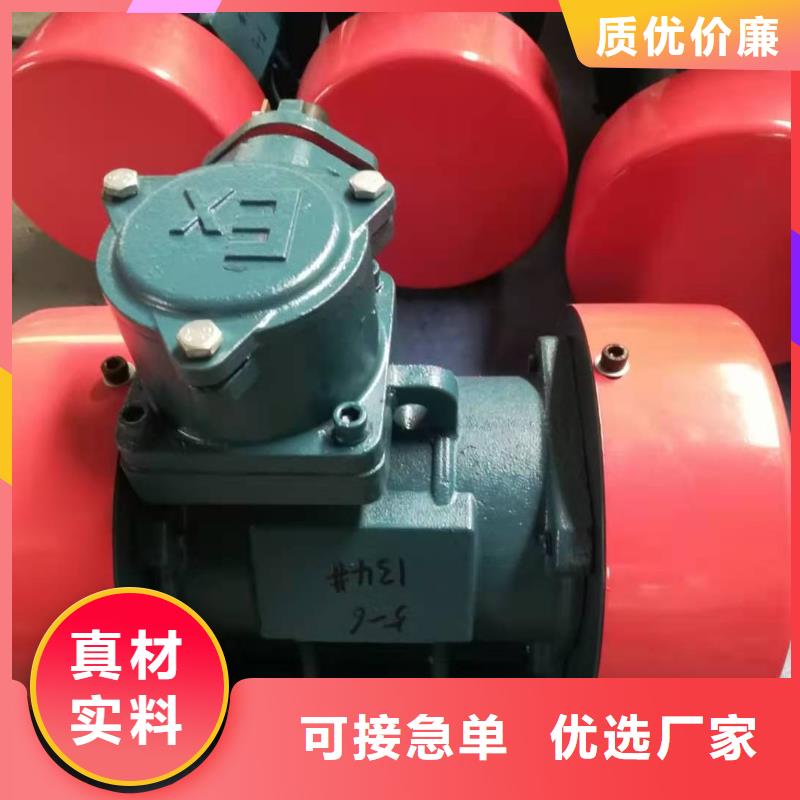 优质的XVM30-2振动电机2KW供应商