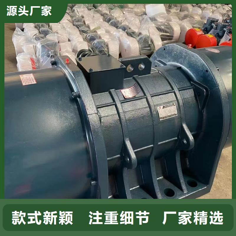 防爆振动电机三相异步振动电机价格实力厂家