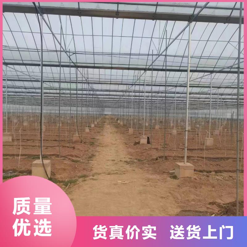 温室大棚【太阳能光伏支架】使用方法