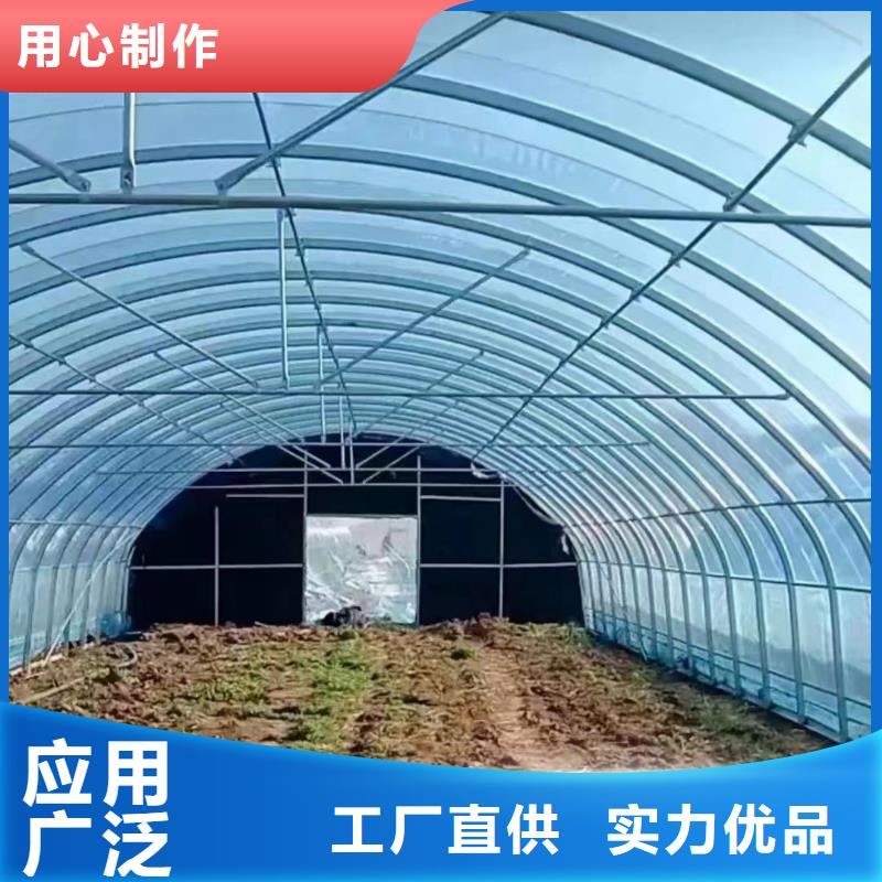 温室大棚-热镀锌光伏支架讲信誉保质量