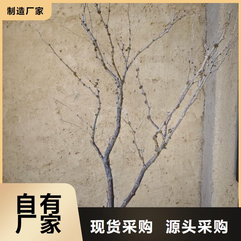 海南三夯土墙面漆生产厂家，批发施工