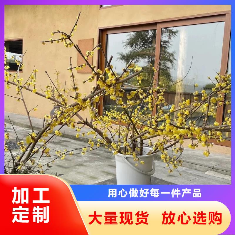 酒店民宿稻草漆源头工厂，质量保证