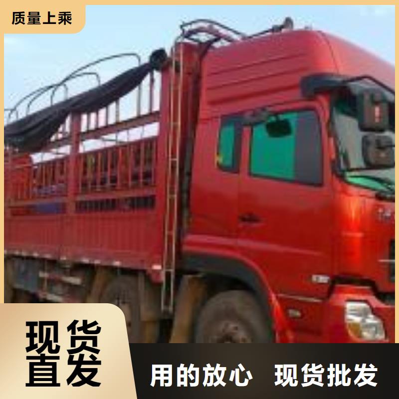 苏州驰万通供应链有限公司宠物托运