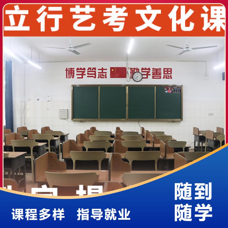 艺考文化课辅导高考冲刺班老师专业