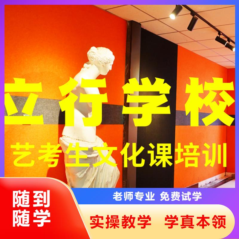 艺考文化课补习艺考学真技术