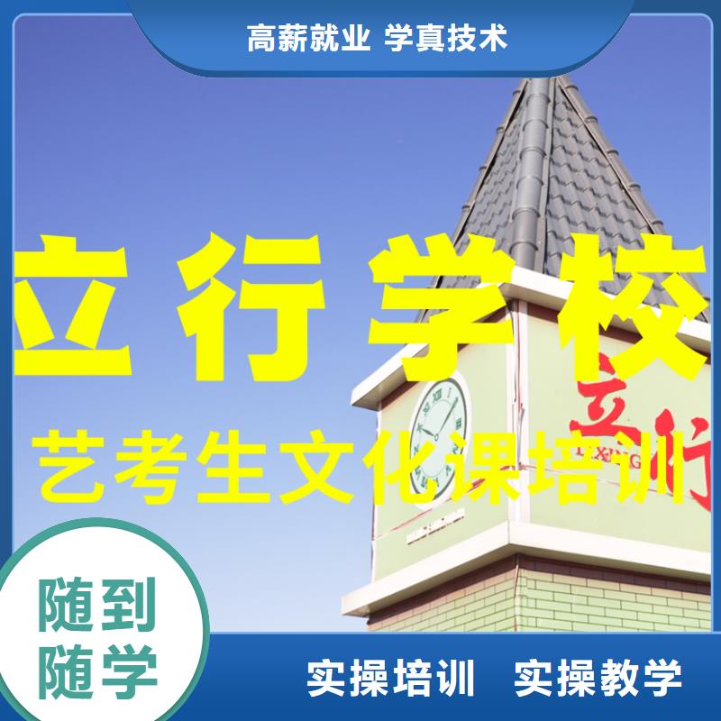 艺考文化课补习艺考学真技术