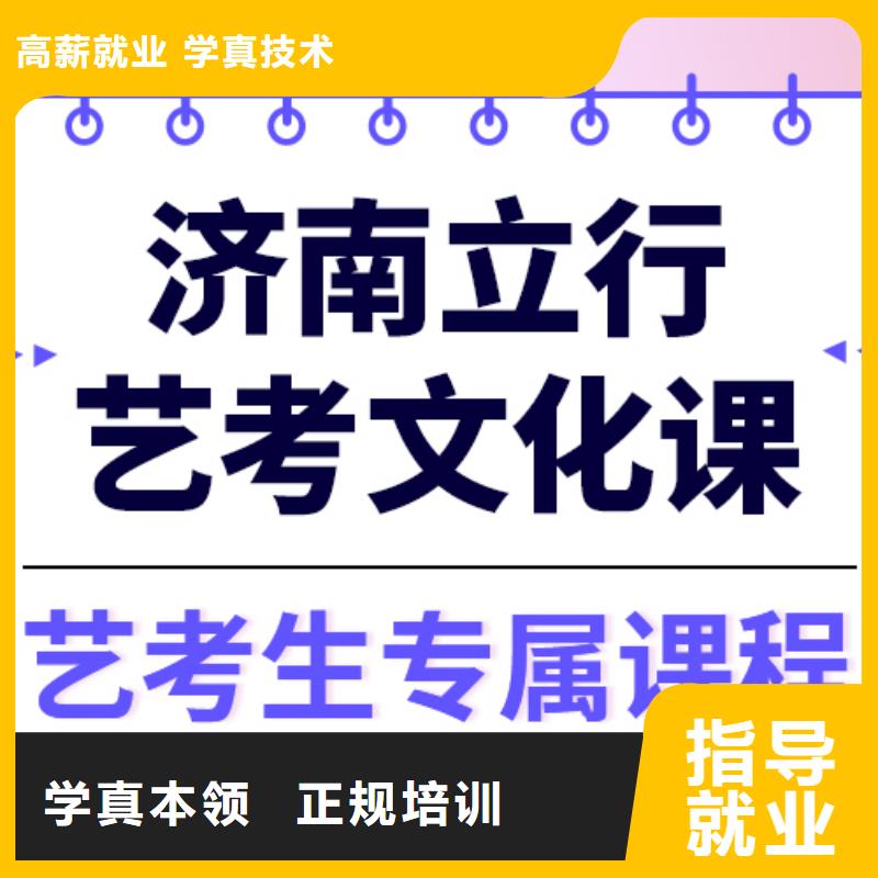 艺考生文化课高考语文辅导师资力量强