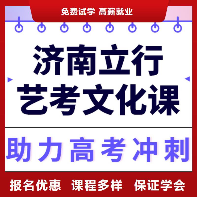 艺术生文化课高三复读辅导老师专业