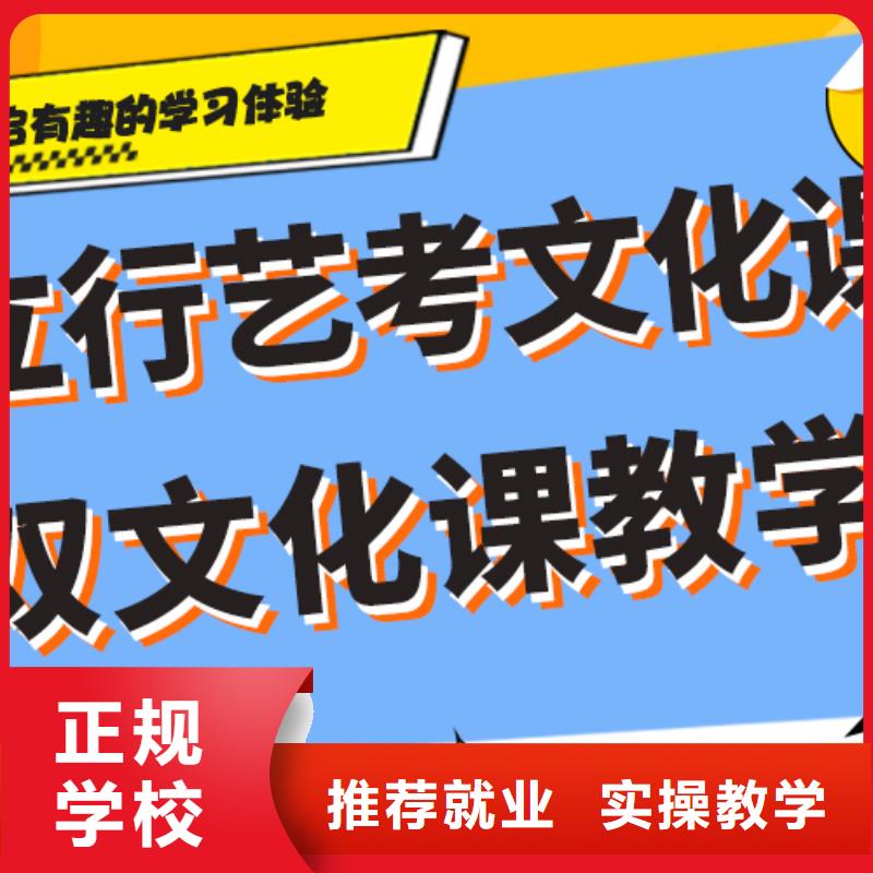 艺术生文化课高三复读辅导老师专业