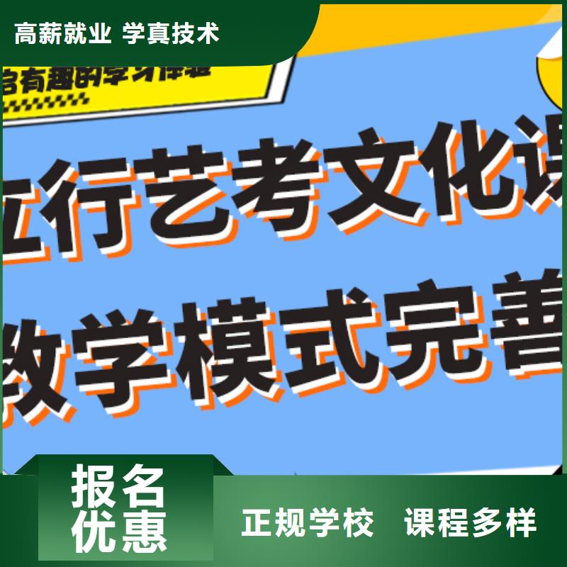 艺术生文化课高考冲刺辅导机构理论+实操