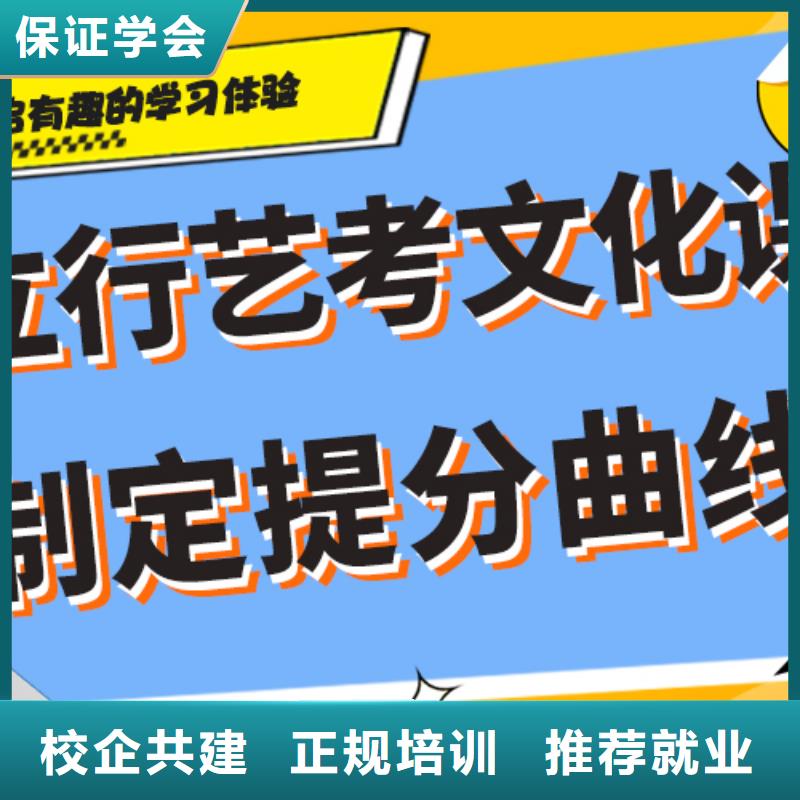 艺术生文化课高考冲刺辅导机构理论+实操