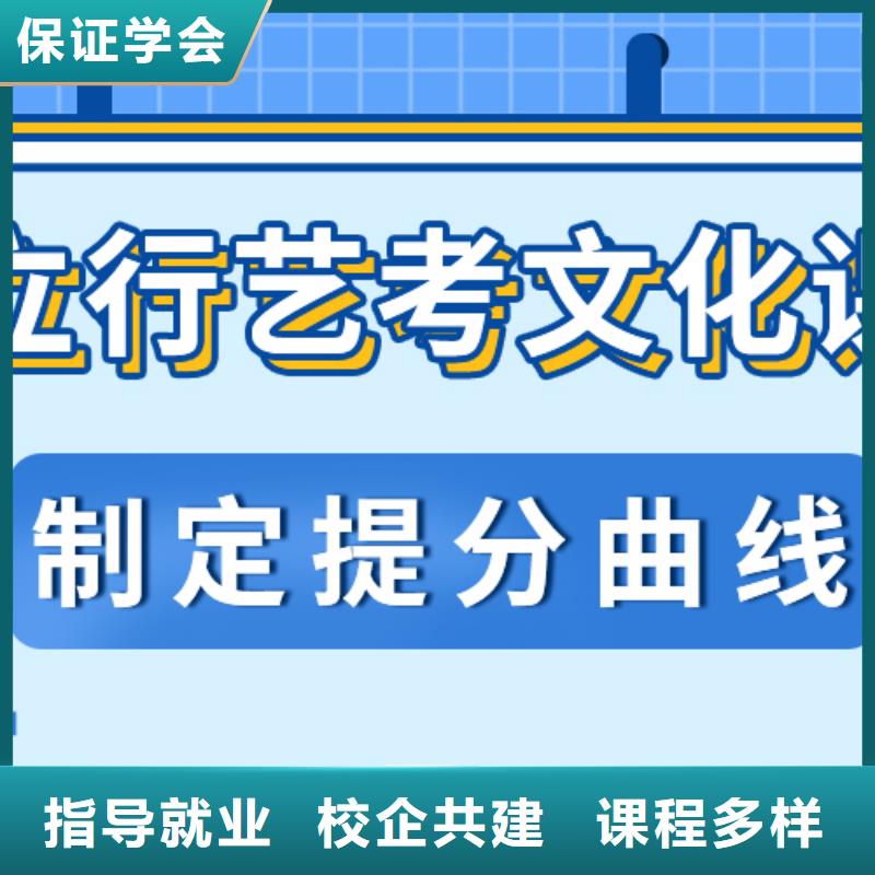 艺术生文化课【艺考培训学校】全程实操