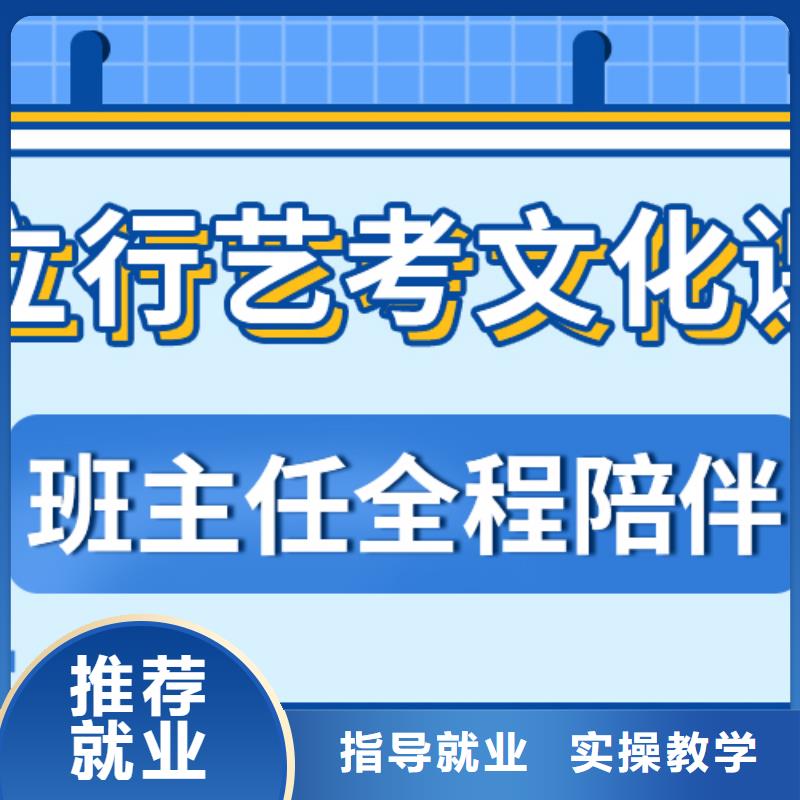 艺术生文化课高三复读辅导老师专业