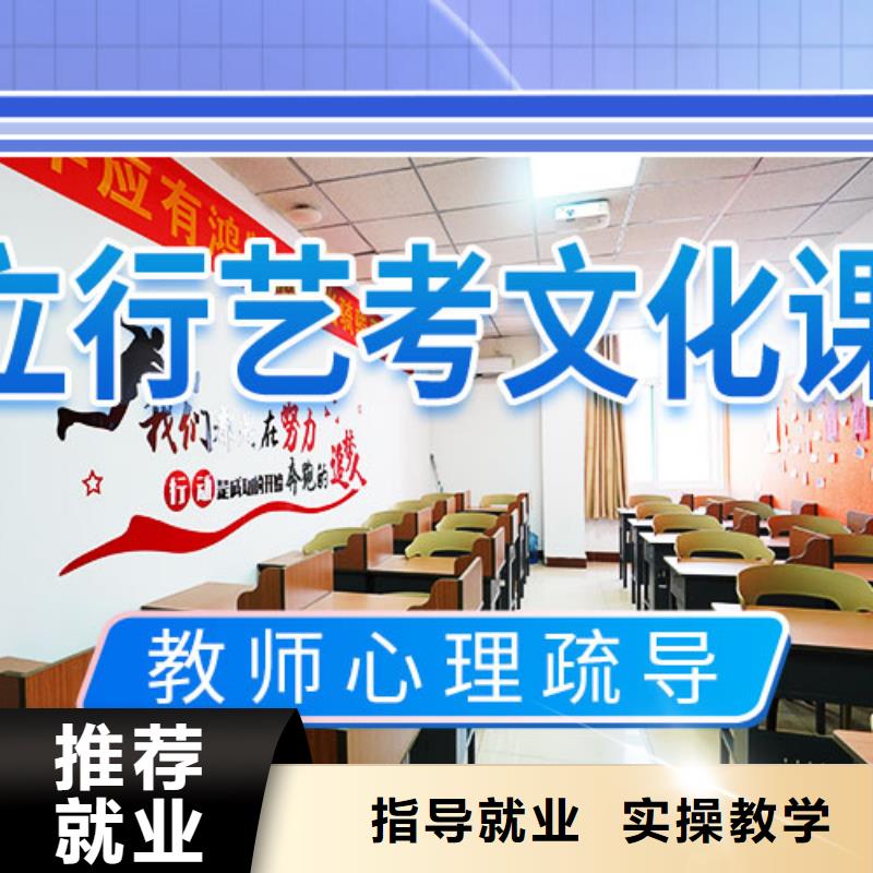艺考文化课培训高考复读周六班手把手教学