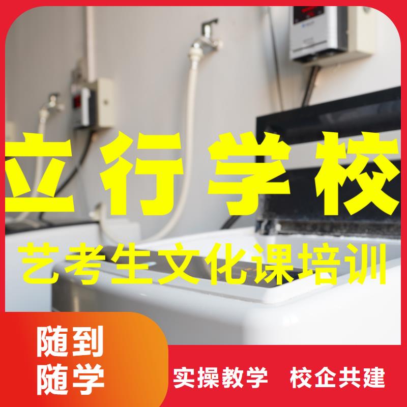 艺考文化课培训高考语文辅导学真技术