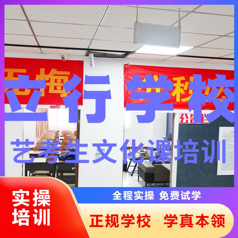 艺考文化课培训高考语文辅导学真技术