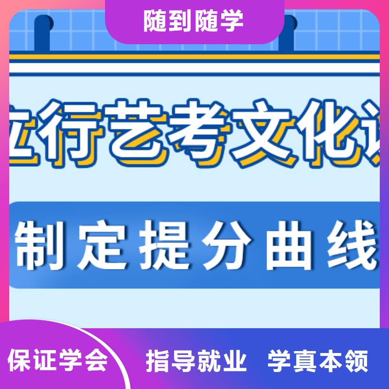 艺考生文化课-高考补习班手把手教学