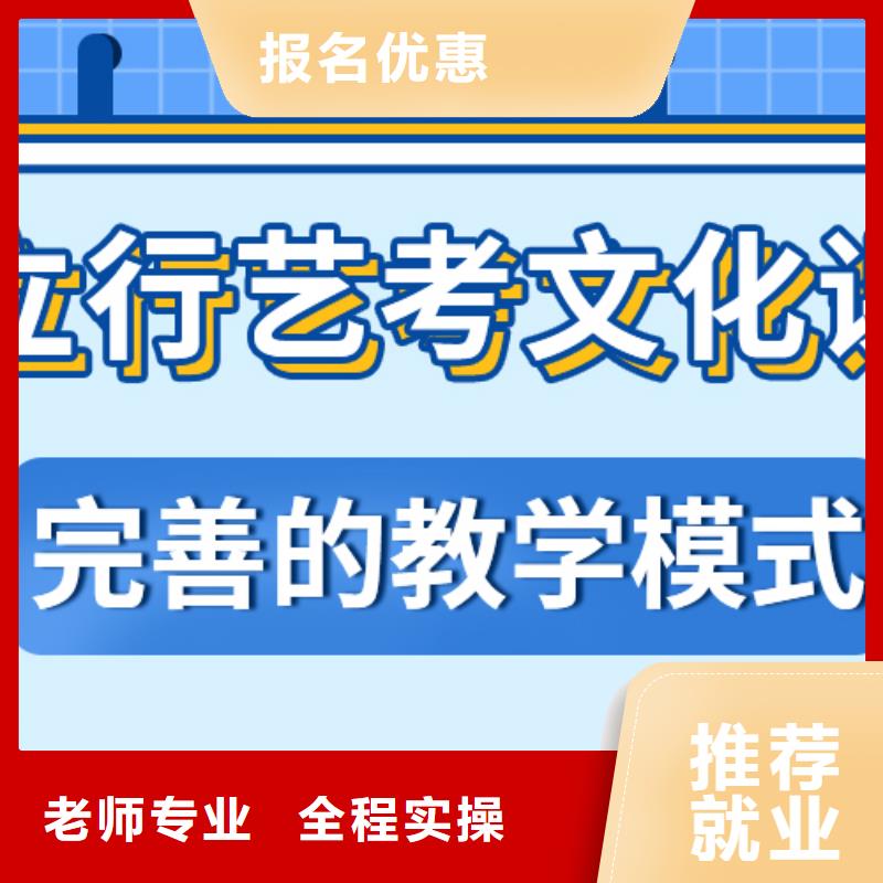 艺考生文化课-高考补习班手把手教学
