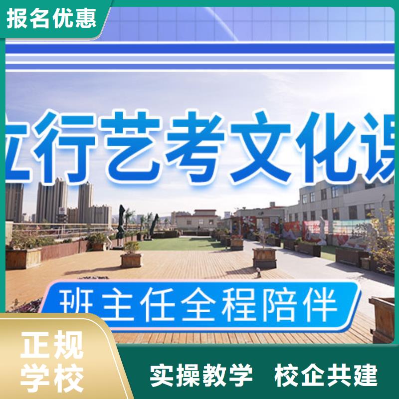 艺考文化课_高考辅导手把手教学