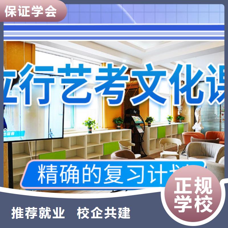 艺考文化课_高考辅导手把手教学