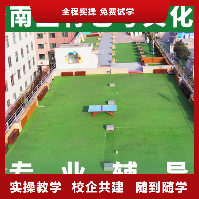 艺考生文化课选哪个多少分